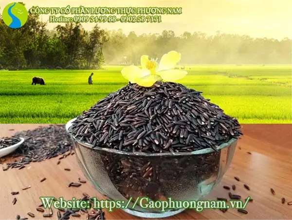 Hướng Dẫn Chi Tiết Cách Nấu Gạo Lứt Tím Than Dẻo Ngon Tại Nhà