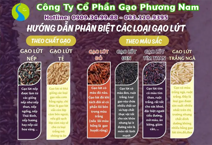 Hướng Dẫn Chi Tiết Cách Nấu Gạo Lứt Tím Than Dẻo Ngon Tại Nhà
