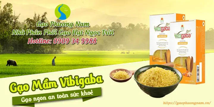 Cách nấu gạo mầm Vibigaba thơm ngon, bổ dưỡng chuẩn chuyên gia