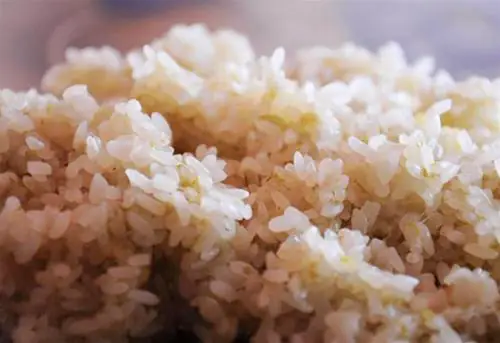 Hướng Dẫn Nấu Gạo Nếp Non Tú Lệ Thơm Ngon, Chuẩn Vị