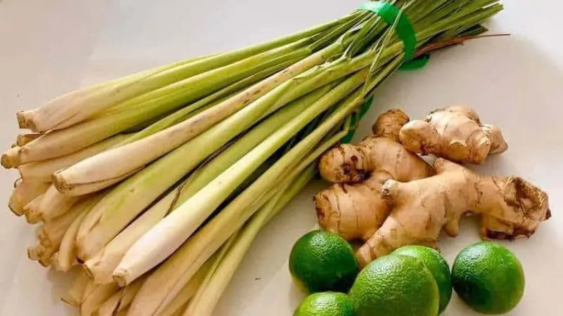 cách nấu gừng sả chanh