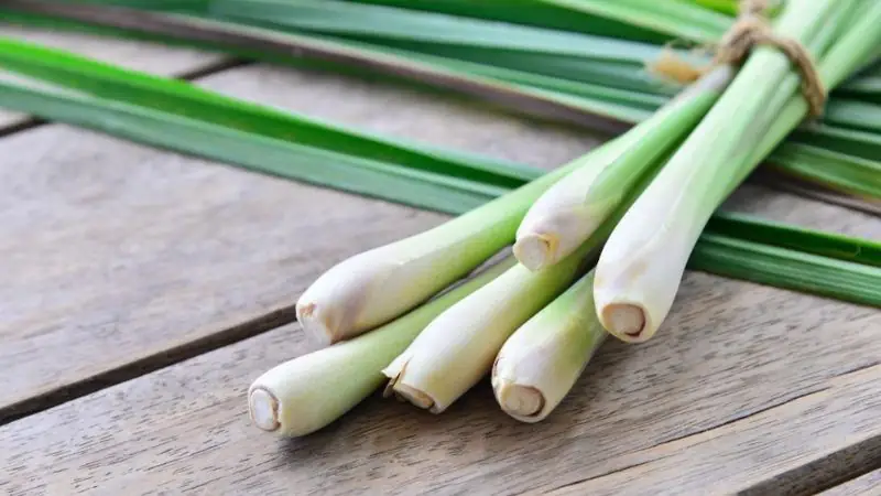 cách nấu gừng sả chanh