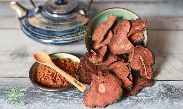 Cách Nấu Hà Thủ Ô Đúng Chuẩn: Hướng Dẫn Chi Tiết Để Tối Ưu Lợi Ích Sức Khỏe