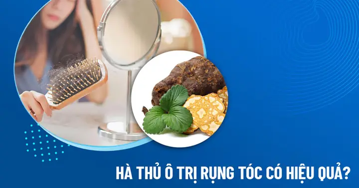 Cách Nấu Hà Thủ Ô Trị Rụng Tóc Hiệu Quả Tại Nhà