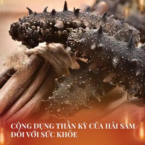 Cách Nấu Hải Sâm Đông Lạnh Ngon, Đơn Giản Tại Nhà Chuẩn Vị