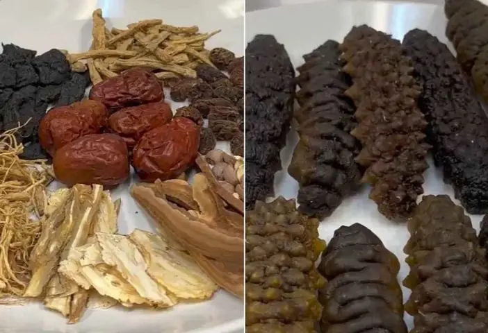 Cách Nấu Hải Sâm Hầm Thuốc Bắc Chuẩn Vị: Hướng Dẫn Chi Tiết