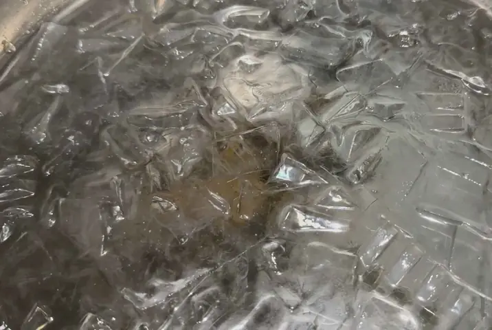 Cách Nấu Hải Sâm Hầm Thuốc Bắc Chuẩn Vị: Hướng Dẫn Chi Tiết