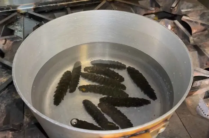 Cách Nấu Hải Sâm Hầm Thuốc Bắc Chuẩn Vị: Hướng Dẫn Chi Tiết