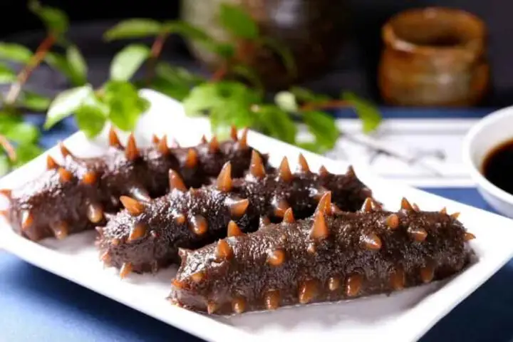 Cách Nấu Hải Sâm Hầm Thuốc Bắc Chuẩn Vị: Hướng Dẫn Chi Tiết