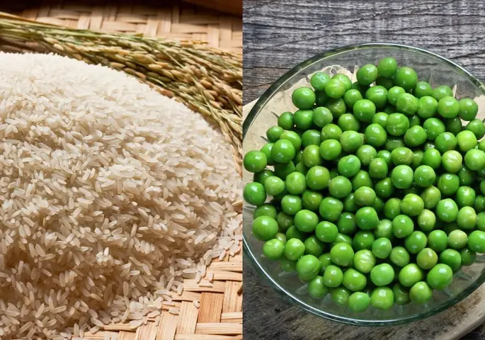 Cách Nấu Hạt Đậu Hà Lan Ngon Đúng Chuẩn, Giữ Trọn Dinh Dưỡng