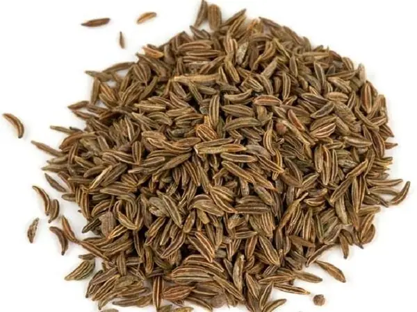 Hướng Dẫn Chi Tiết Cách Nấu Hạt Thì Là Thơm Ngon Hướng Dẫn Chi Tiết Cách Nấu Hạt Thì Là Thơm Ngon