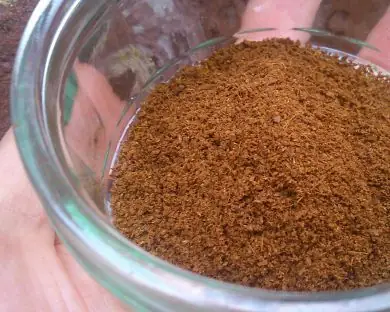 Hướng Dẫn Chi Tiết Cách Nấu Hạt Thì Là Thơm Ngon Hướng Dẫn Chi Tiết Cách Nấu Hạt Thì Là Thơm Ngon