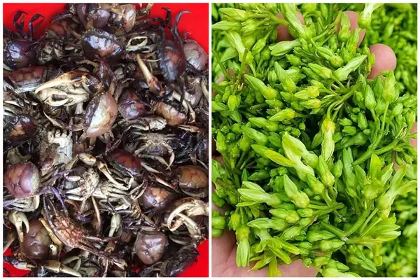 Tổng hợp **Cách Nấu Hoa Thiên Lý** Thanh Mát, Bổ Dưỡng Cho Gia Đình