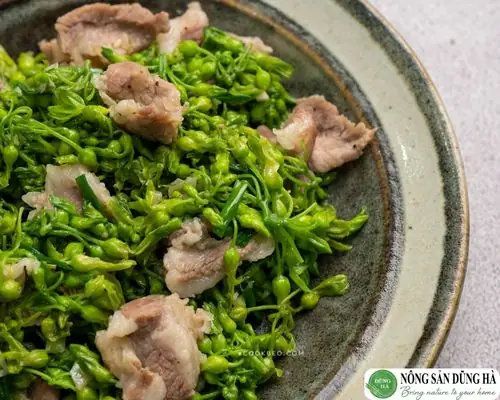 Cách Nấu Hoa Thiên Lý Xào Thịt Lợn Thơm Ngon, Đậm Vị Tại Nhà Cách Nấu Hoa Thiên Lý Xào Thịt Lợn Thơm Ngon, Đậm Vị Tại Nhà