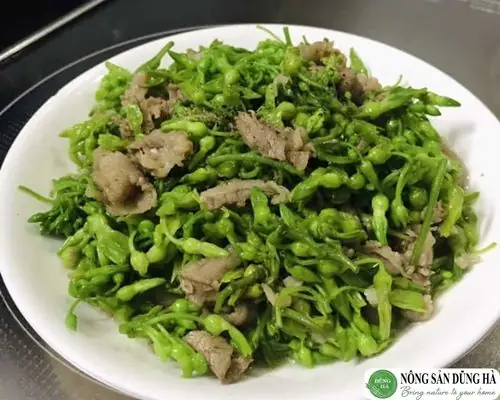 Cách Nấu Hoa Thiên Lý Xào Thịt Lợn Thơm Ngon, Đậm Vị Tại Nhà Cách Nấu Hoa Thiên Lý Xào Thịt Lợn Thơm Ngon, Đậm Vị Tại Nhà