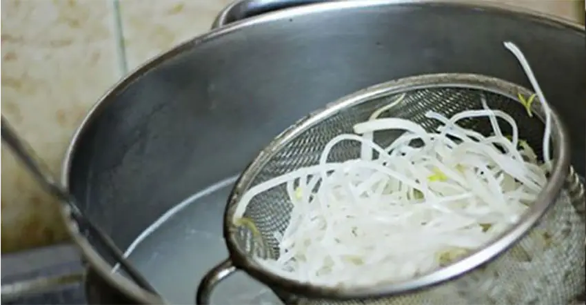 cách nấu hủ tiếu gà