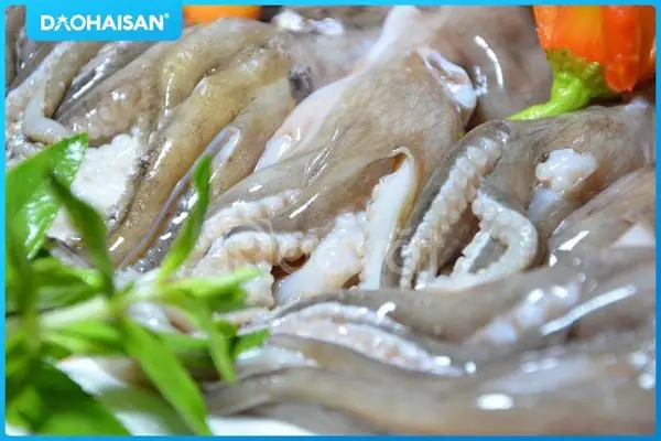 Làm Sao Để Nấu Hủ Tiếu Hải Sản Ngon Chuẩn Vị Việt?