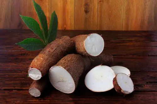cách nấu khoai mì nước cốt dừa cách nấu khoai mì nước cốt dừa