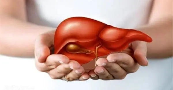 Cách Nấu Lá Atiso Khô: Hướng Dẫn Chi Tiết Từng Bước