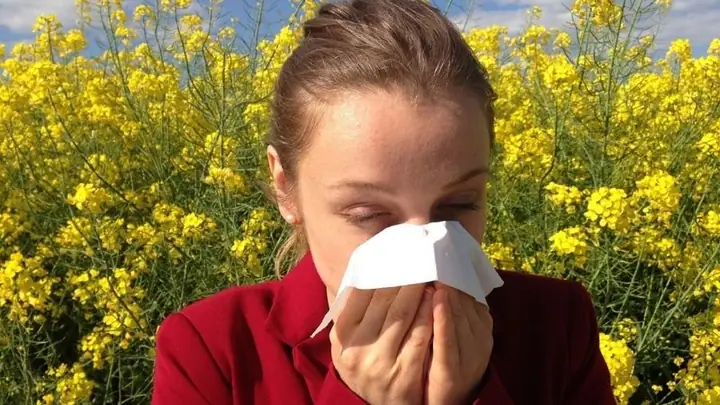 Cách Nấu Lá Bồ Công Anh Ngon Và Giữ Dưỡng Chất