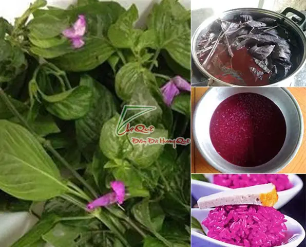 Cách Nấu Lá Cẩm Lấy Màu Tự Nhiên Chuẩn Đẹp Cho Món Ăn Việt