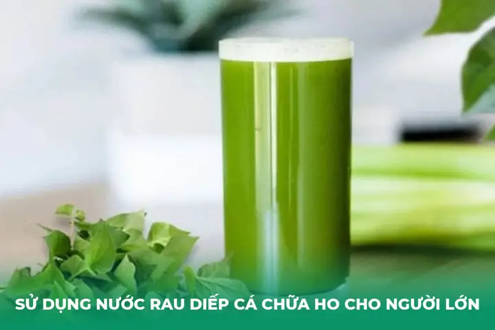 Cách Nấu Lá Diếp Cá Với Nước Vo Gạo Đơn Giản Tại Nhà