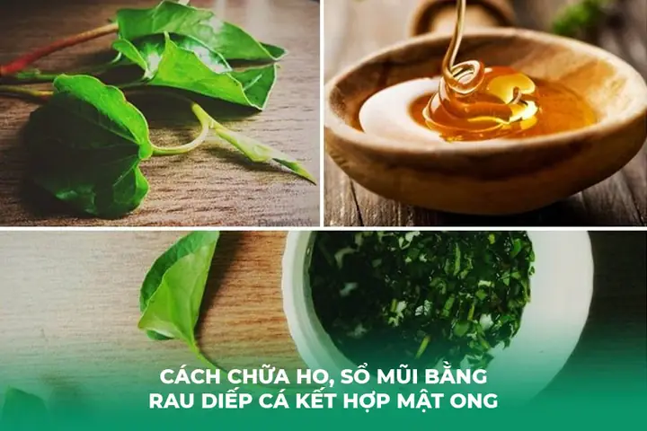 Cách Nấu Lá Diếp Cá Với Nước Vo Gạo Đơn Giản Tại Nhà