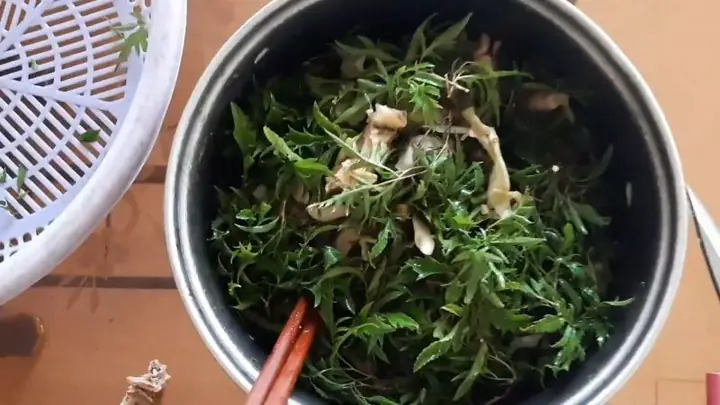 Cách nấu lá đinh lăng: Hướng dẫn chi tiết từ A đến Z