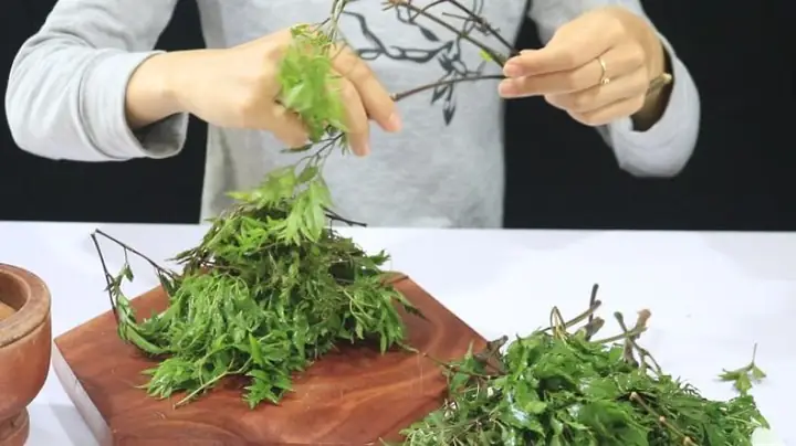 Cách nấu lá đinh lăng: Hướng dẫn chi tiết từ A đến Z