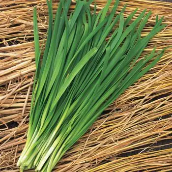 Hướng Dẫn Cách Nấu Lá Hẹ Chữa Ho Đơn Giản, An Toàn