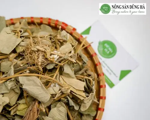 Cách Nấu Lá Kim Tiền Thảo: Hướng Dẫn Chi Tiết Và Công Dụng Cách Nấu Lá Kim Tiền Thảo: Hướng Dẫn Chi Tiết Và Công Dụng