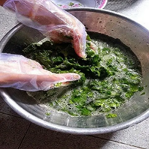 Cách Nấu Lá Sâm Nam Thơm Ngon, Đơn Giản Tại Nhà