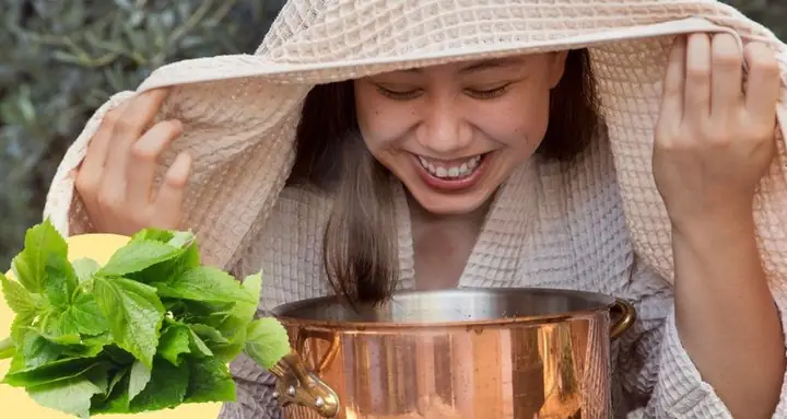 Cách Nấu Lá Tía Tô Xông Mặt Hiệu Quả Và An Toàn Tại Nhà