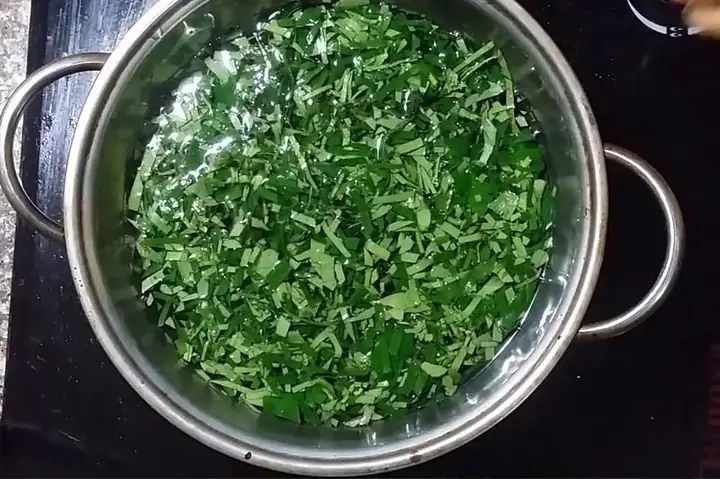 Cách Nấu Nước Lá Trầu Không Súc Miệng Chuẩn, Hiệu Quả Nhất