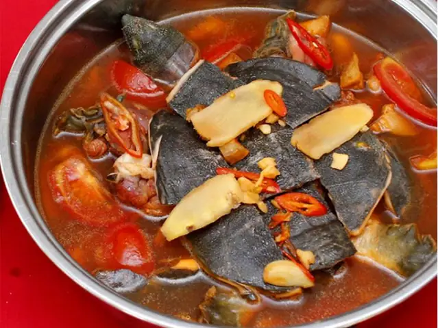 Hướng Dẫn Chi Tiết Cách Nấu Lẩu Ba Ba Ngon Khó Cưỡng Tại Gia