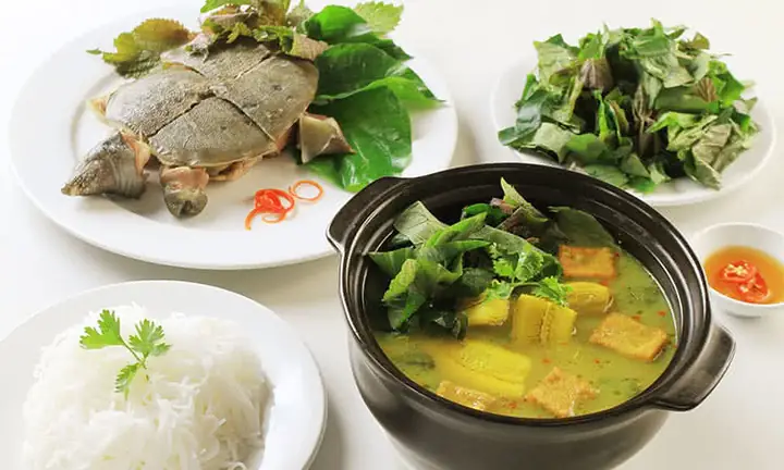 Hướng Dẫn Chi Tiết Cách Nấu Lẩu Ba Ba Ngon Khó Cưỡng Tại Gia