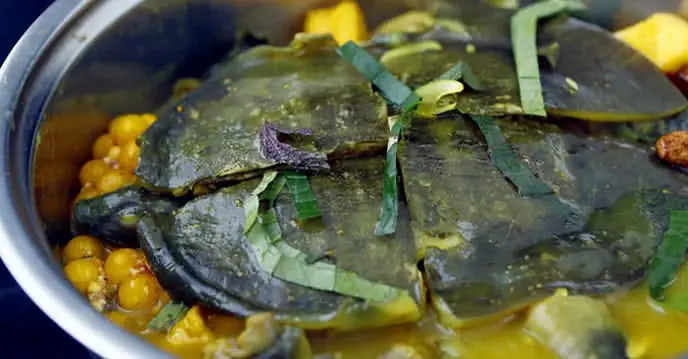 Hướng Dẫn Chi Tiết Cách Nấu Lẩu Ba Ba Với Gà Ngon Tuyệt