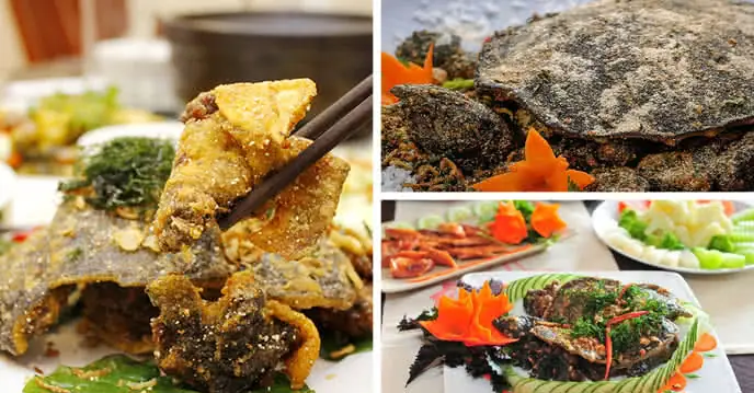 Hướng Dẫn Chi Tiết Cách Nấu Lẩu Ba Ba Với Gà Ngon Tuyệt