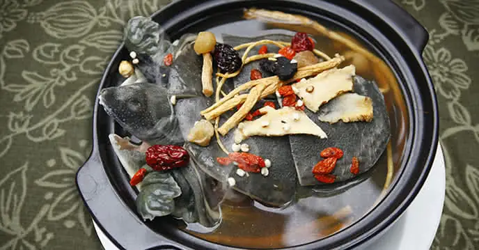 Hướng Dẫn Chi Tiết Cách Nấu Lẩu Ba Ba Với Gà Ngon Tuyệt