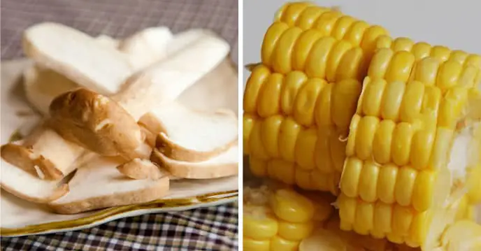 Cách Nấu Lẩu Băng Chuyền Đậm Đà Chuẩn Vị Tại Nhà