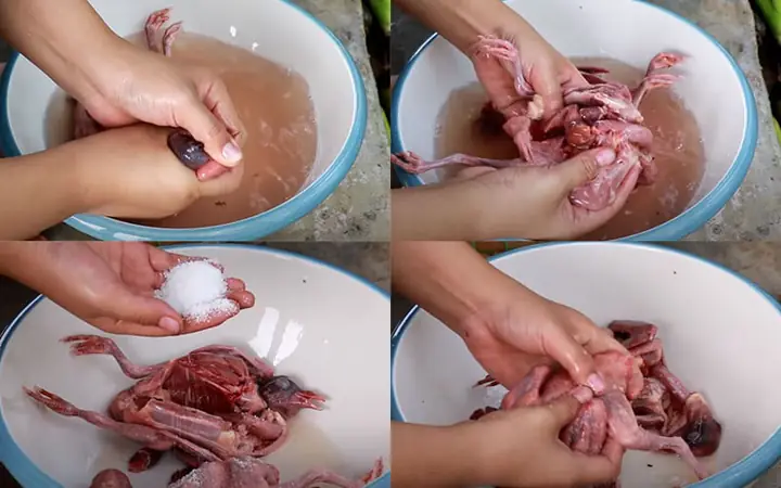 Làm thế nào để nấu lẩu bồ câu khổ qua thơm ngon, chuẩn vị tại nhà?