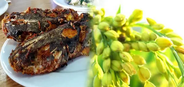 Hướng Dẫn Chi Tiết Cách Nấu Lẩu Cá Ba Gai Ngon Chuẩn Vị Tại Nhà