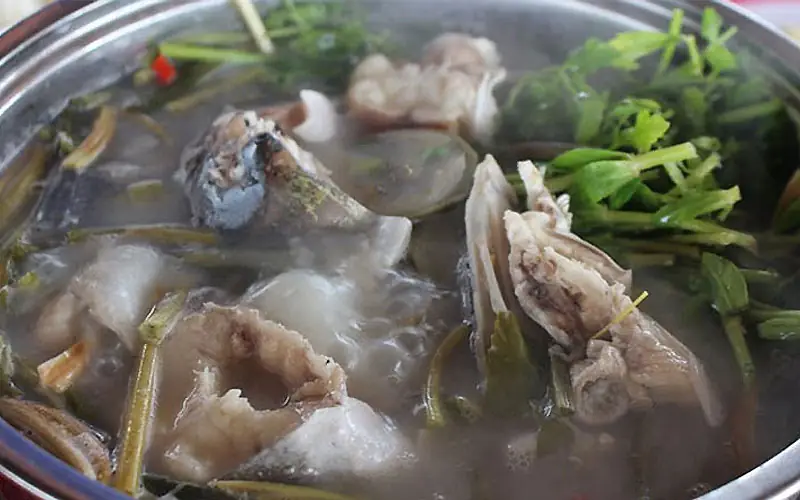 cách nấu lẩu cá bớp