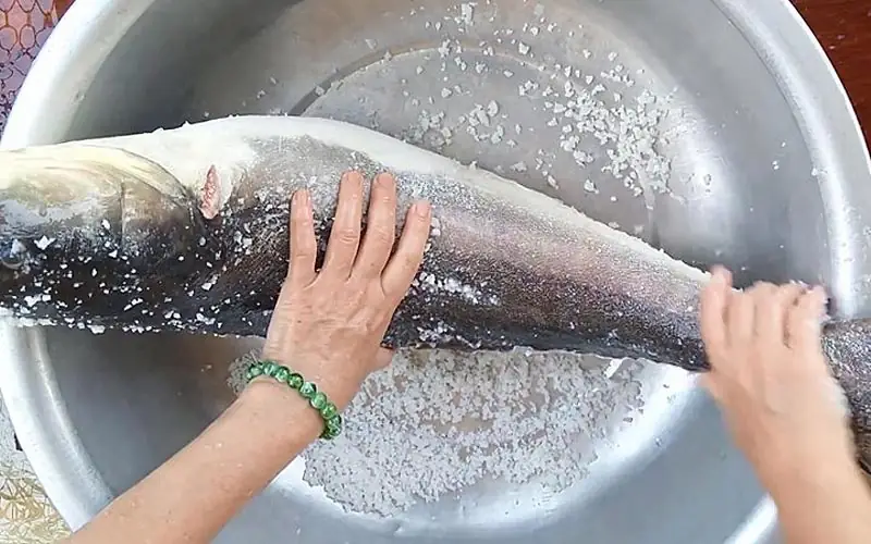 cách nấu lẩu cá bớp