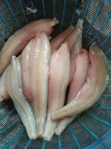 Hướng Dẫn Chi Tiết Cách Nấu Lẩu Cá Cháo Thơm Ngon Đậm Đà Chuẩn Vị Tại Nhà