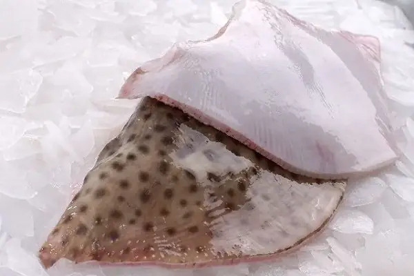 cách nấu lẩu cá đuối măng chua cách nấu lẩu cá đuối măng chua