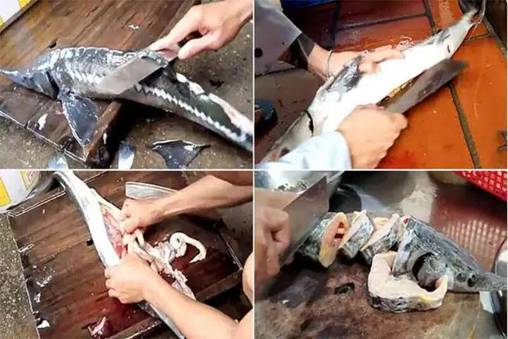 Cách Nấu Lẩu Cá Không Bị Tanh: Hướng Dẫn Chi Tiết Để Món Ăn Hoàn Hảo Cách Nấu Lẩu Cá Không Bị Tanh: Hướng Dẫn Chi Tiết Để Món Ăn Hoàn Hảo