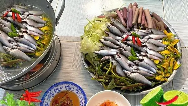 Cách Nấu Lẩu Cá Miền Tây Chuẩn Vị Thơm Ngon Tại Gia Cách Nấu Lẩu Cá Miền Tây Chuẩn Vị Thơm Ngon Tại Gia