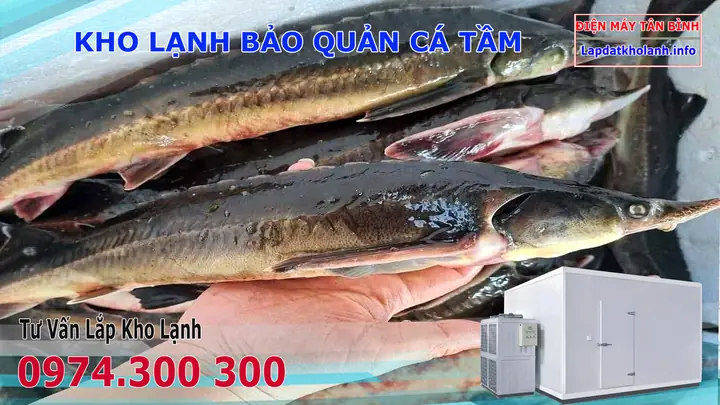 Cách Nấu Lẩu Cá Tai Tượng Thơm Ngon, Chuẩn Vị Tại Nhà