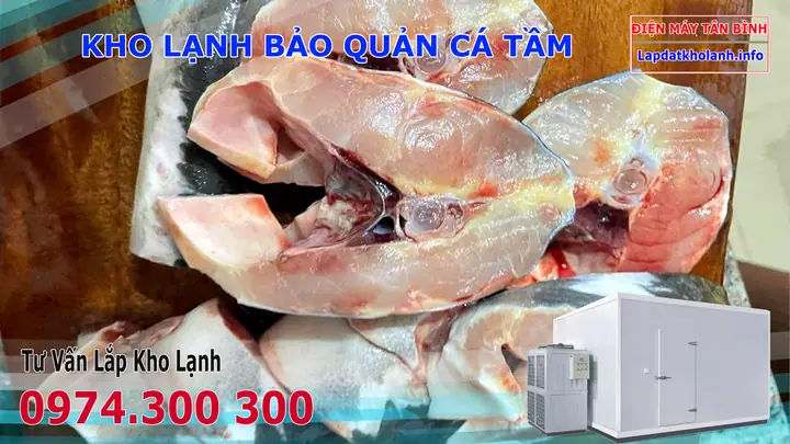 Cách Nấu Lẩu Cá Tai Tượng Thơm Ngon, Chuẩn Vị Tại Nhà